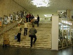 Флэш-моб в субботу 29 ноября на лестнице ЦДХ